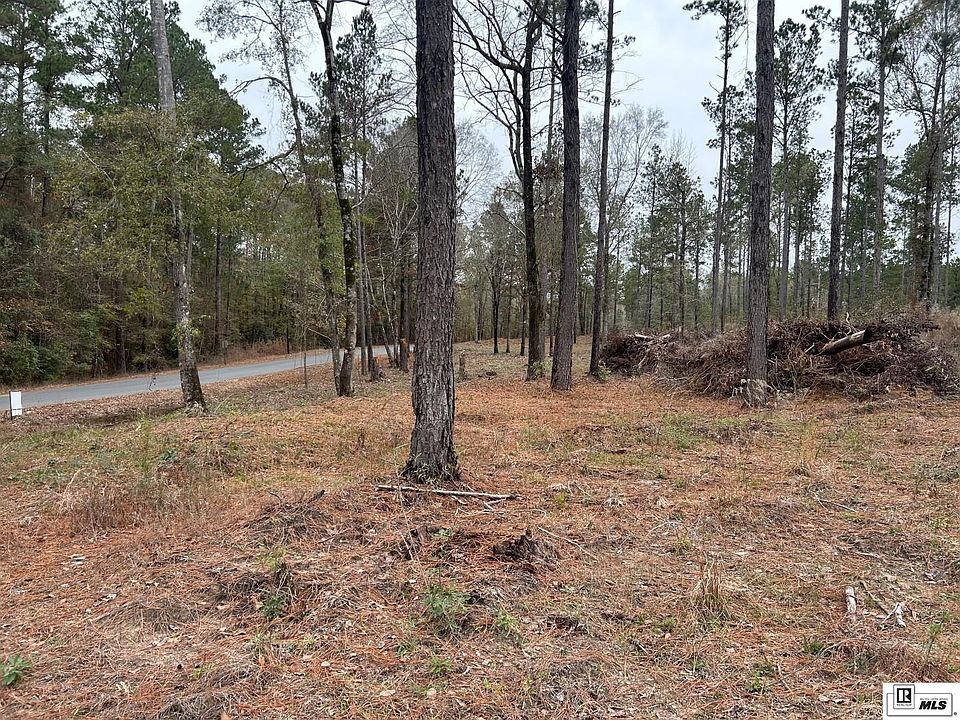 2nd image of 7 Cadeville Cutoff Rd