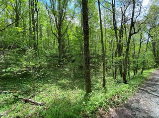 48 Rhoneys View Rd #49, Newland, NC 28657