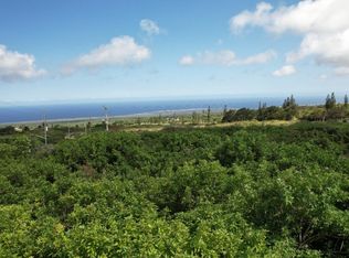 Lewa Nuu St LOT 551, Naalehu, HI 96772