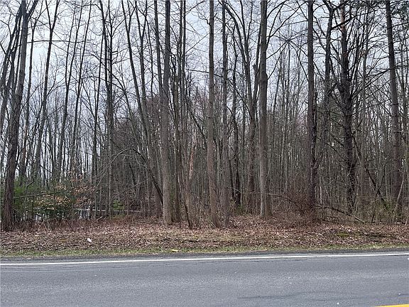 3rd image of 0 Packwood Rd Lot 1