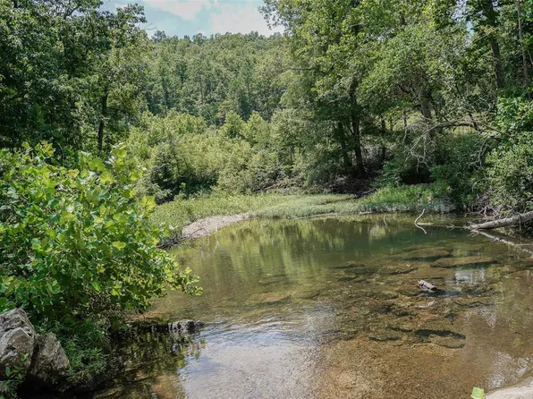 21932 W Ashley Rd, Raymondville, MO 65555