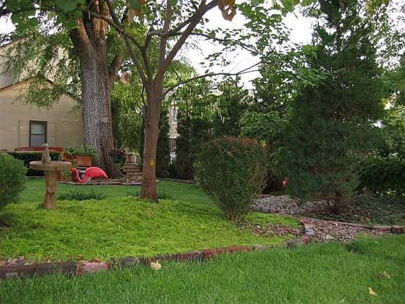 back from neighbor's yard-berm is prop line