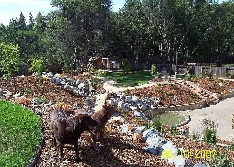 2nd image of 6062 Connery Dr
