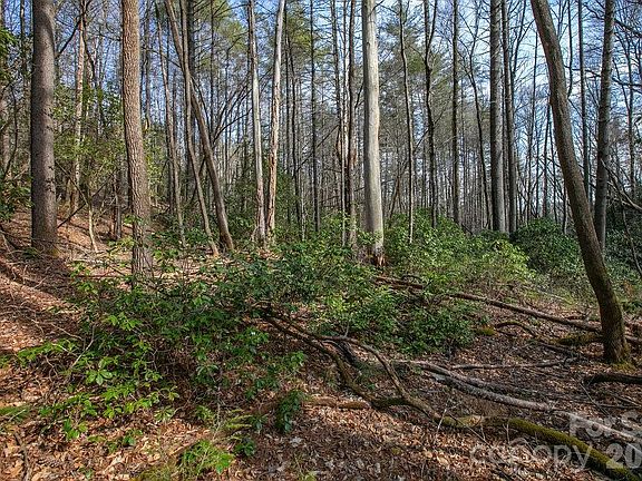 4th image of 13 Deerlake Rd