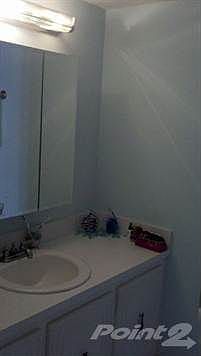 2010-10-10_14-36-52_335