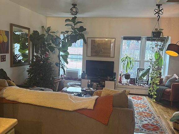 5th image of 543 Quincy St #3