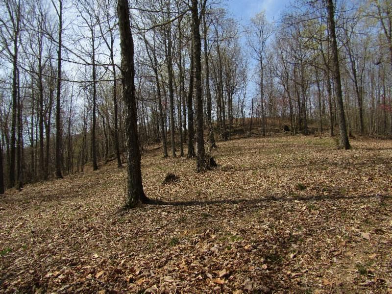 1st image of 24-82AC Hickory Ln Lot 11