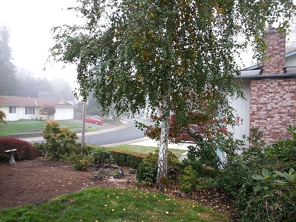 View from entry deck