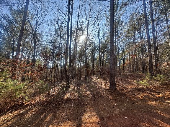 3rd image of 704 Timberbrook Trl