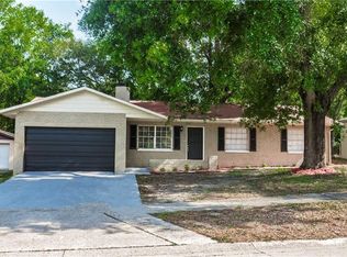 4223 Truman Dr, Seffner, FL 33584