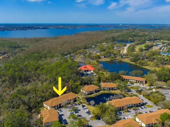 3301 Crystal Ct E APT M, Palm Harbor, FL 34685