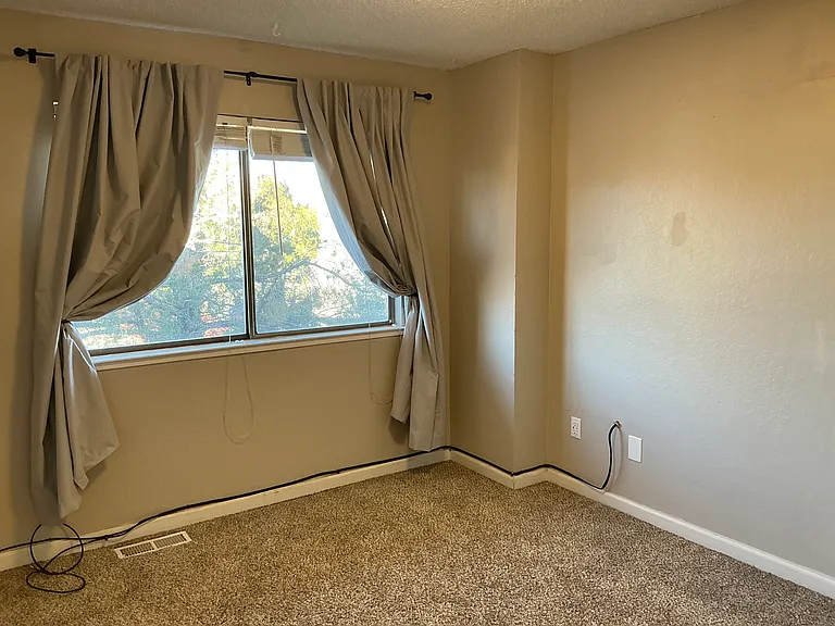 3142 Bristle Branch Dr #3142 — Photo 12