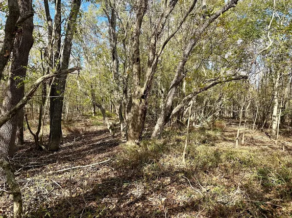 Plum Thicket Lake Rd, Winnsboro, LA 71295