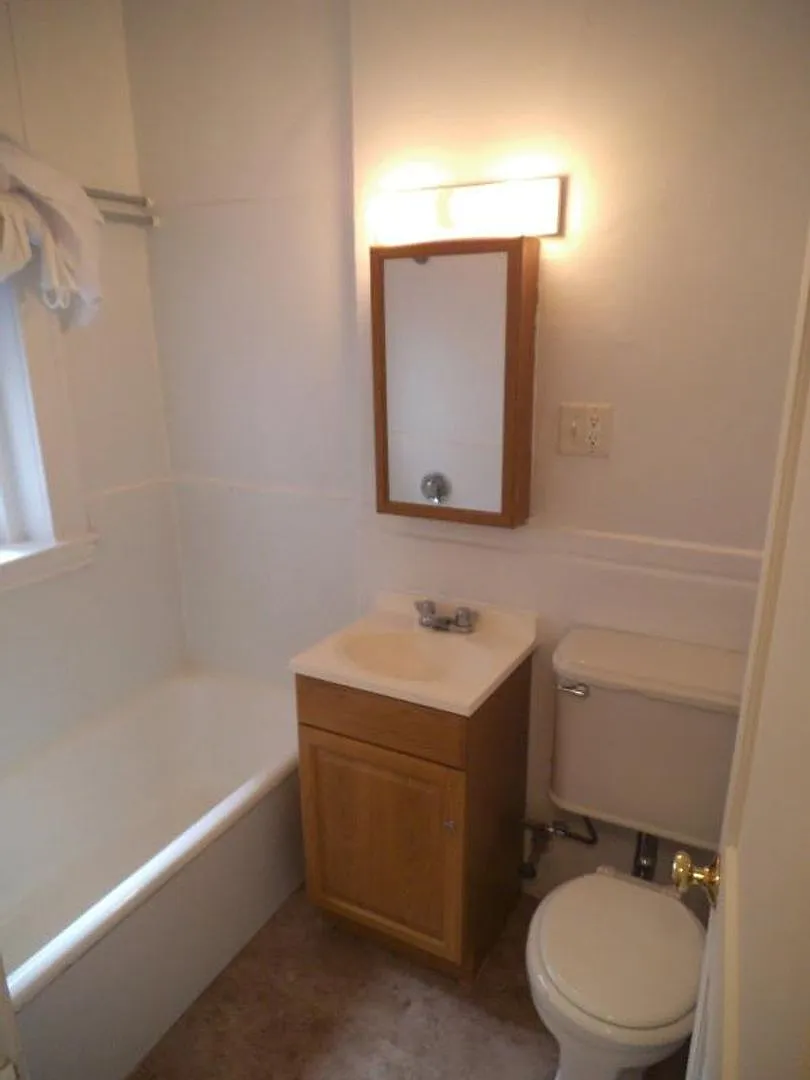 Nicely renovated 1 bed in a prime location in Allston! — Photo 4