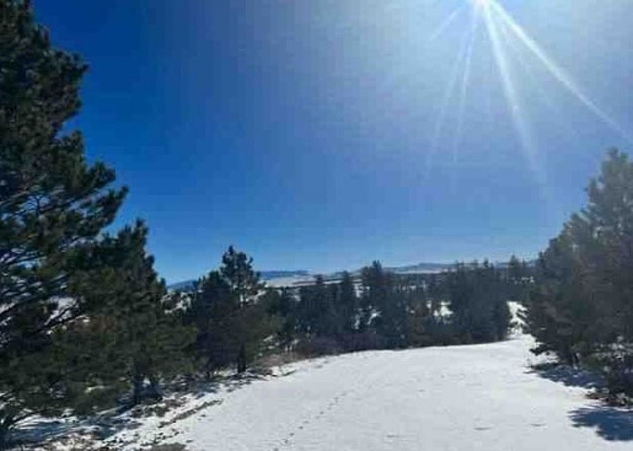 252 Muir Woods Trl, Lake CO 80827 Zillow