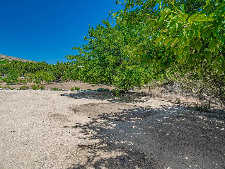 6367 Valley Sage Rd #REAR — Photo 37