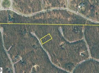 15 Schaffen Strasse St LOT 15, Bellaire, MI 49615