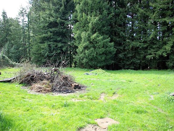 5th image of 6128 Beechwood Dr