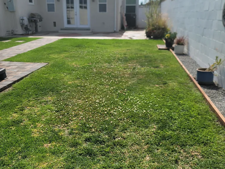 3948 Rose Ave — Photo 18