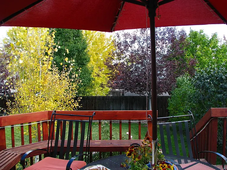 Fall view