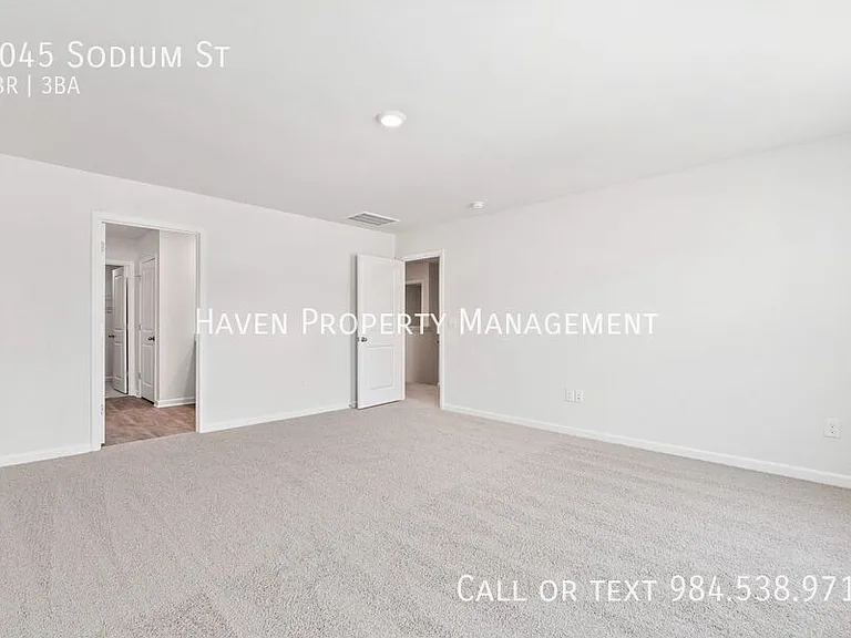 6045 Sodium St — Photo 33