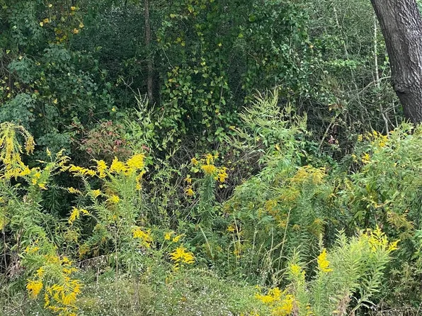 0 Ezzard Charles Ln, Houston, TX 77091