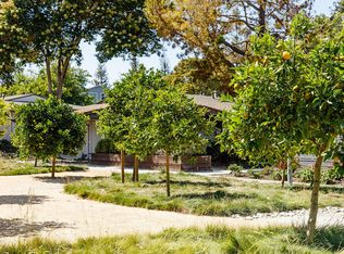 Madrone, Mountain View, CA 94043