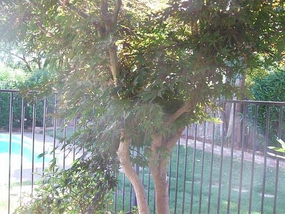 5th image of 2543 Queenwood Dr