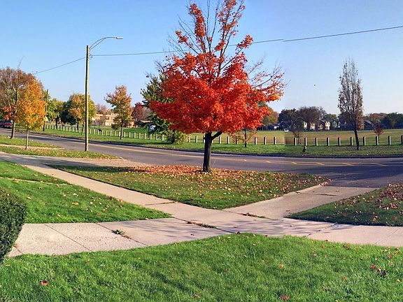3rd image of 19923 Schoenherr St
