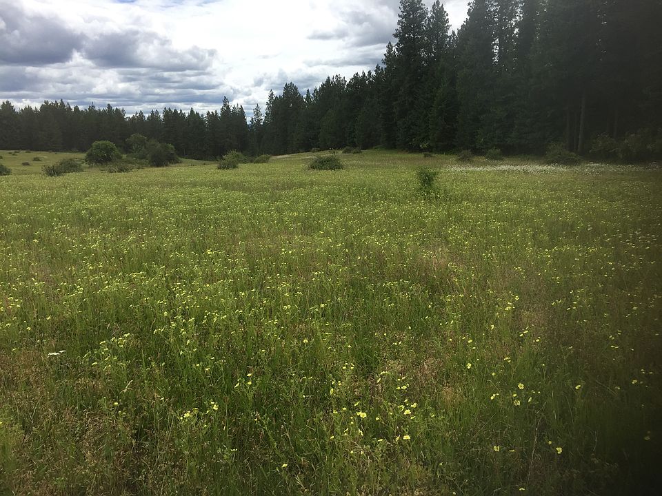 2nd image of Manifold Rd