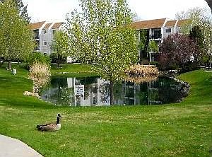 3rd image of 1039 E Quail Vista Ln APT J
