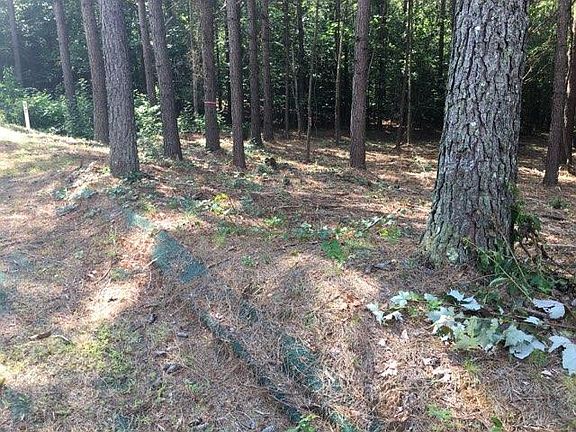 Build your rental home