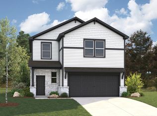 161 Tolo Dr, Elgin, TX 78621