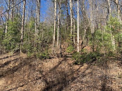 3.66 Horton Rd, Murphy, NC, 28906