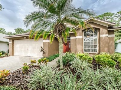 10416 Springrose Dr, Tampa, FL, 33626