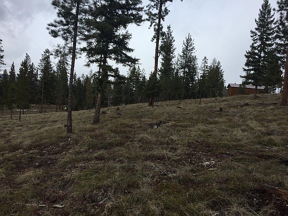 3rd image of 336 Drew Creek Loop