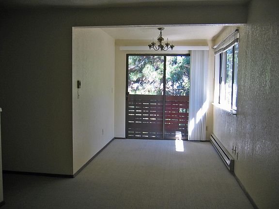 5th image of 5041 12th Ave NE #B