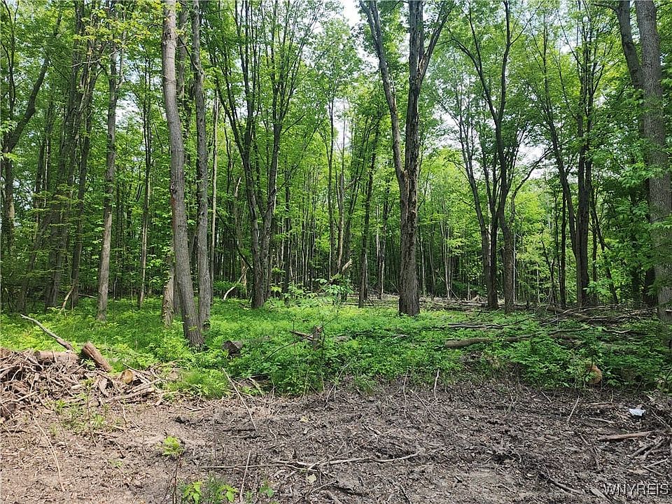 2nd image of Lake Shore Rd