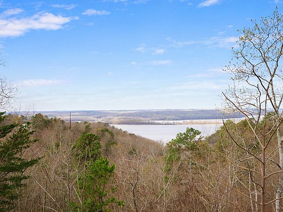 3rd image of 0 Old Skyline Dr #274