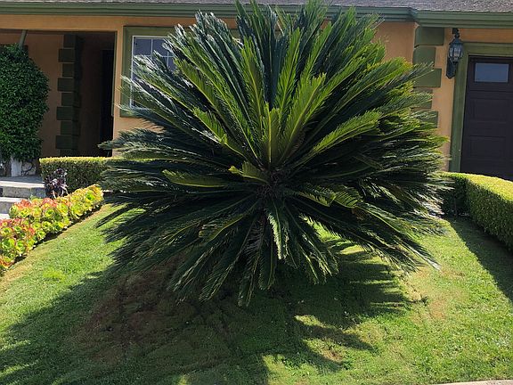2nd image of 810 Misty Isle Dr