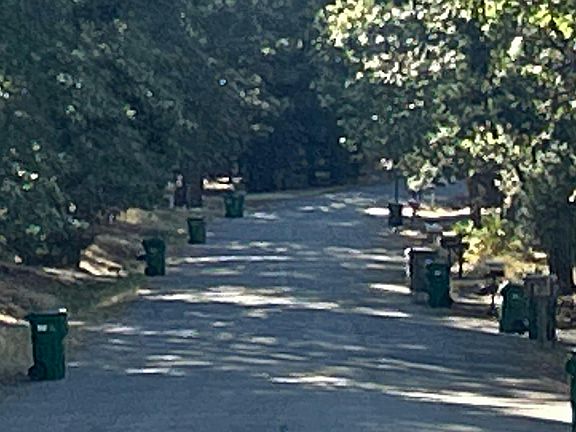 4th image of 30935 Bambi Dr