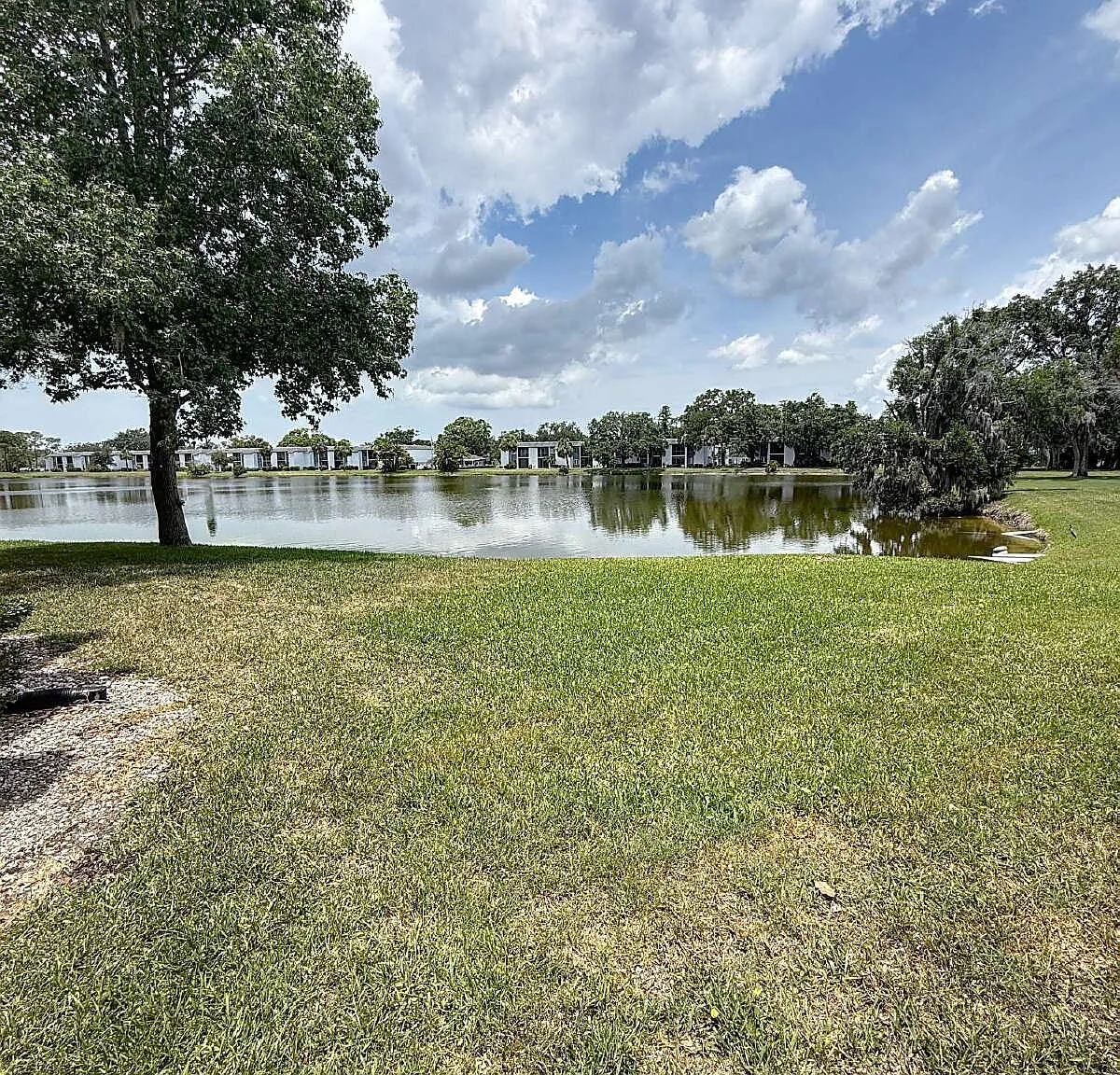 217 Woodlake Wynde, Oldsmar, FL 34677 — Photo 2