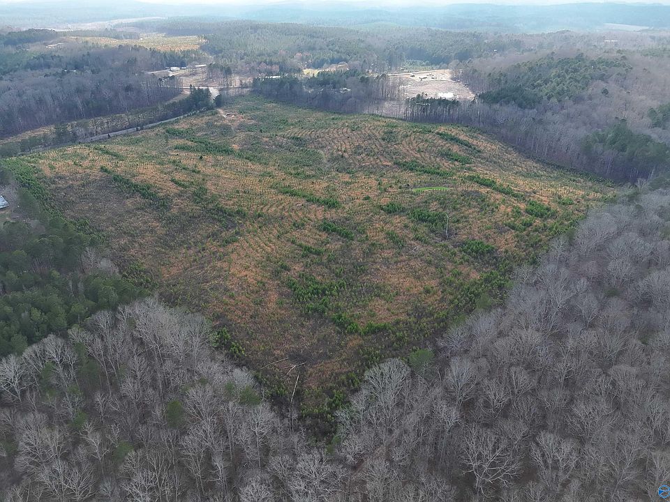 1st image of County Road 921