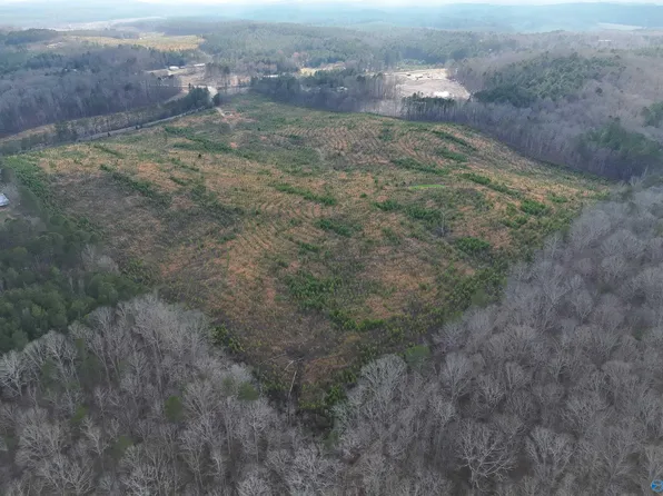 County Road 921, Gaylesville, AL 35973