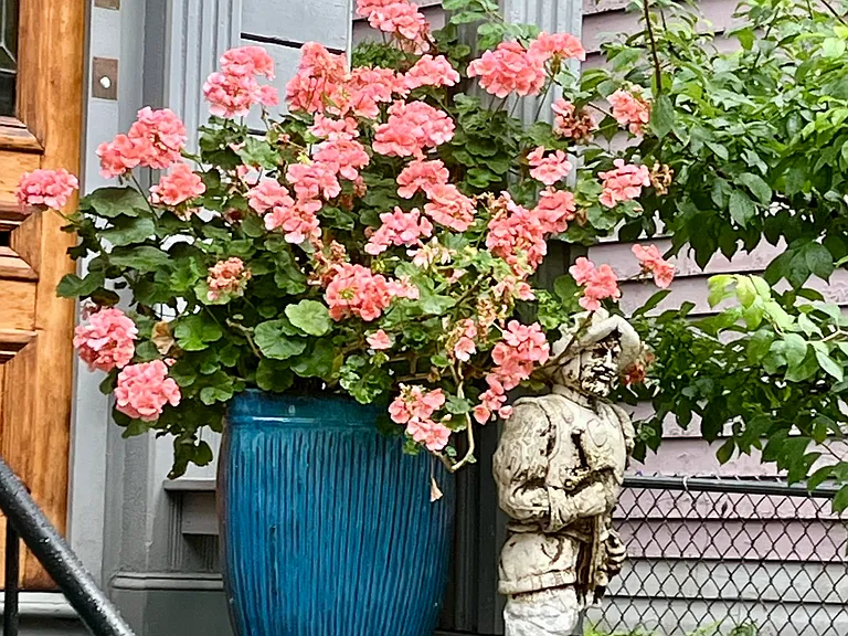 40 Delle Ave #1 — Photo 17