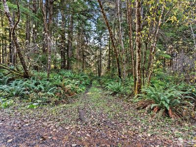 0 Lot 35 Bay Lane, Winlock, WA, 98596