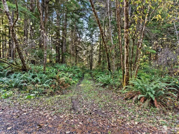 0 Lot 35 Bay Lane, South Bend, WA 98596