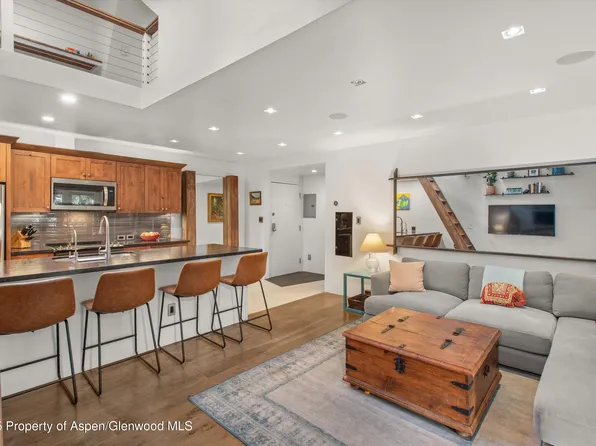 910 W Hallam St APT 11, Aspen, CO 81611
