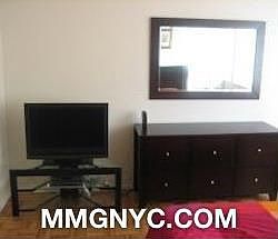 5th image of 393 W 49th St #2VDD