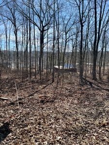 131 Quail Ln, Dunlap, TN, 37327